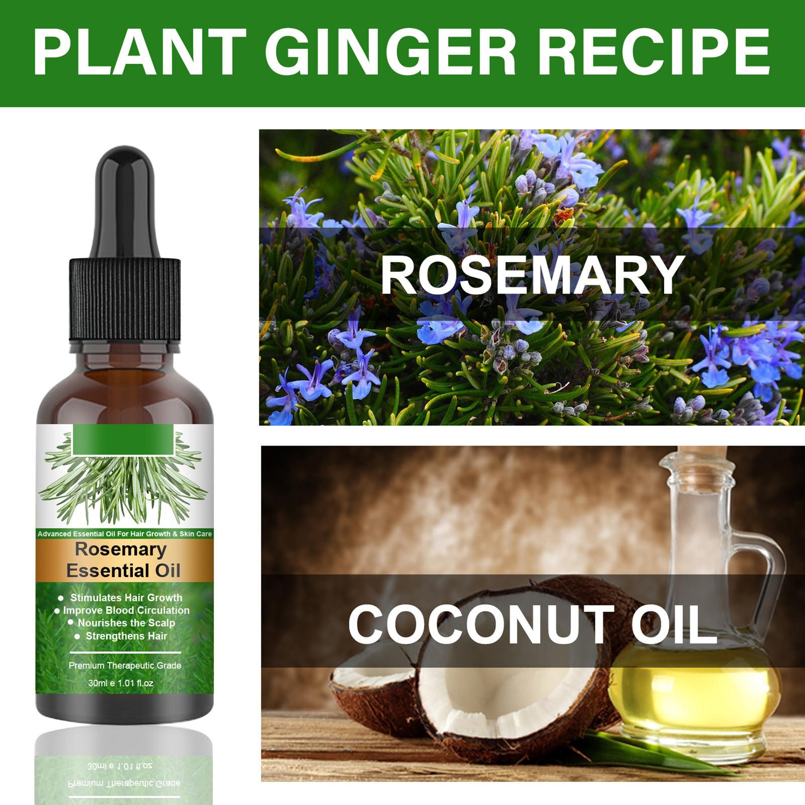 Rosemary Essential Oil Hair Gr - Hair Care Natural Products ulasan dan harga